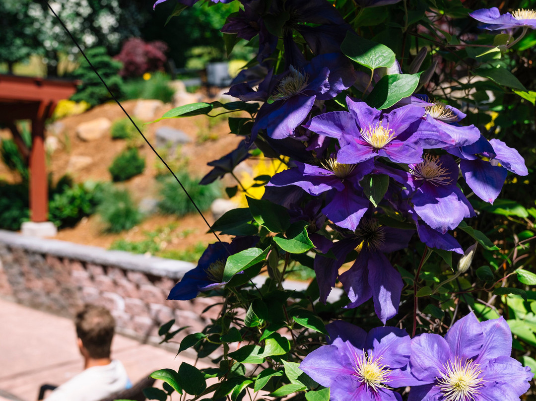 Inn Of The White Salmon主图