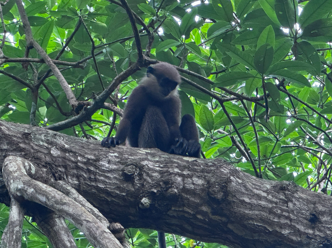 Ahungalla Beach-亚洪加拉必去景点