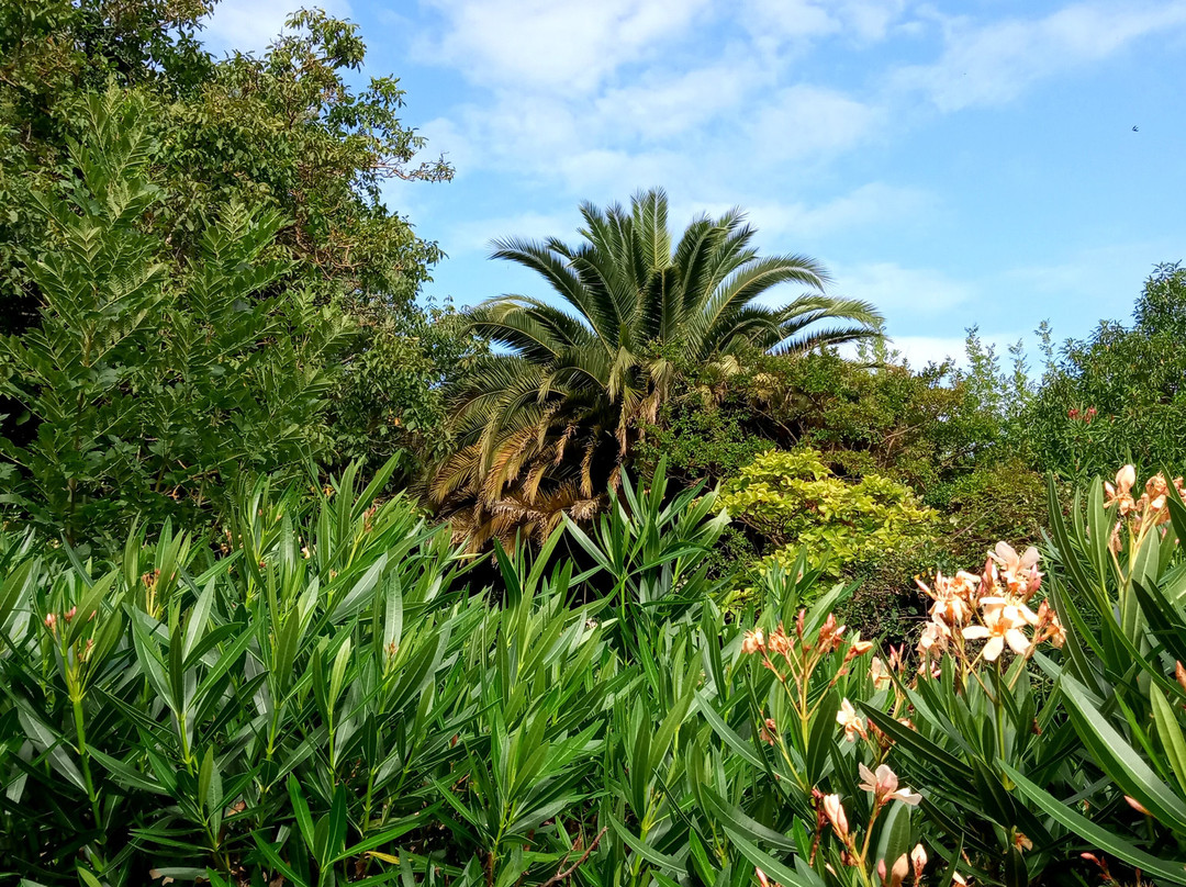 苏比塔酒店主图