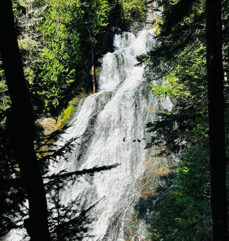 Sentier De La Forêt Marine-Saint-Joseph-de-la-Rive必去景点