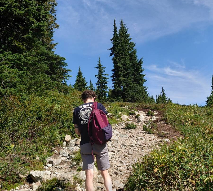 Mount Seymour Provincial Park-北温哥华必去景点