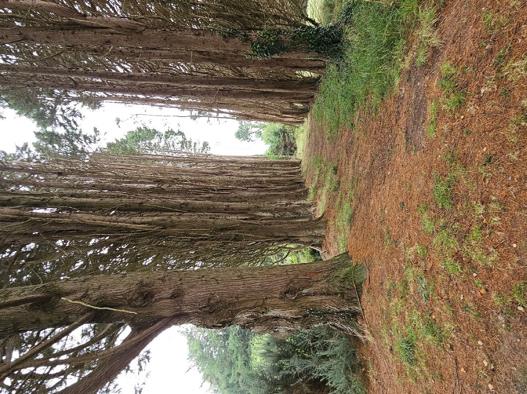 约翰‧肯尼迪植物园景点图片