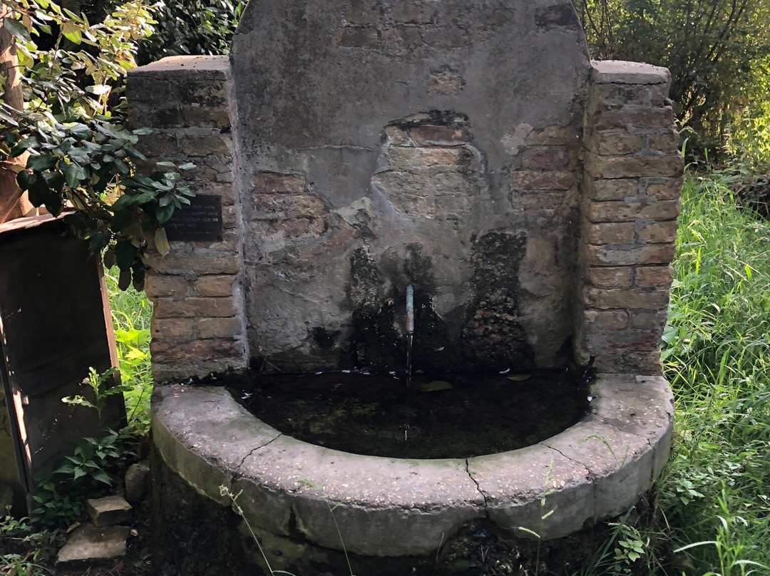 La Antica Fonte Romana-Cologna Paese必去景点