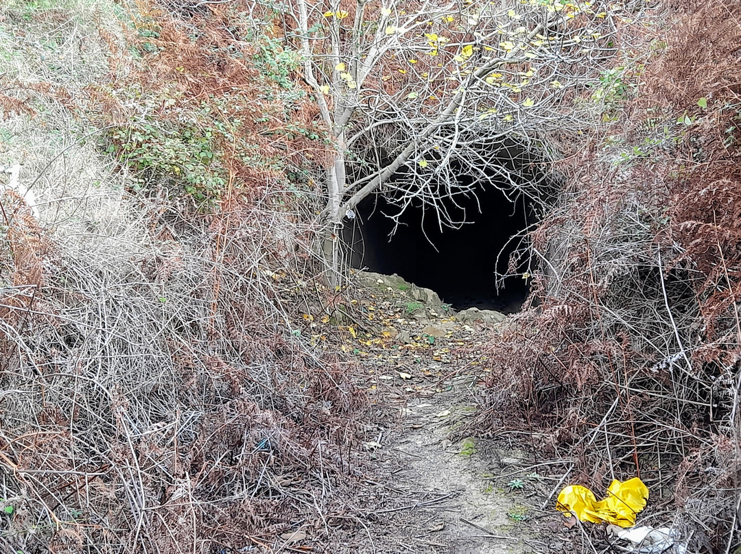 Bunker-anlage-Zvernec必去景点