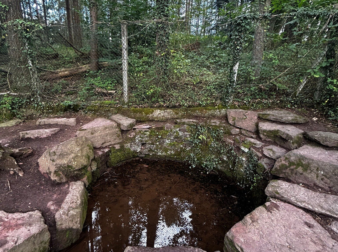 Tombeau de Merlin / Fontaine de Jouvence景点图片