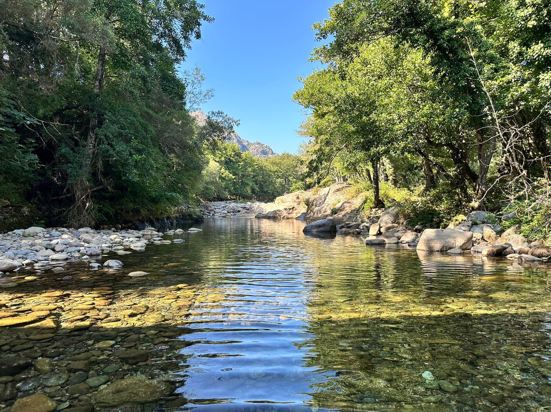 Autour du Hamac主图