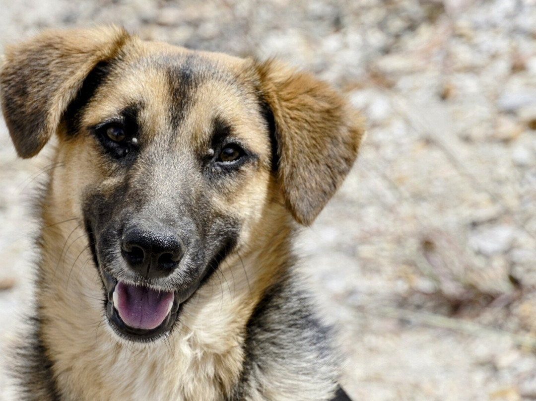Pozos Azules-莱瓦镇必去景点