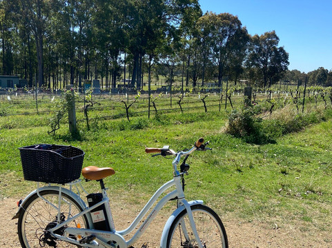 Grapemobile Bicycle Hire & Tours-波高尔宾必去景点