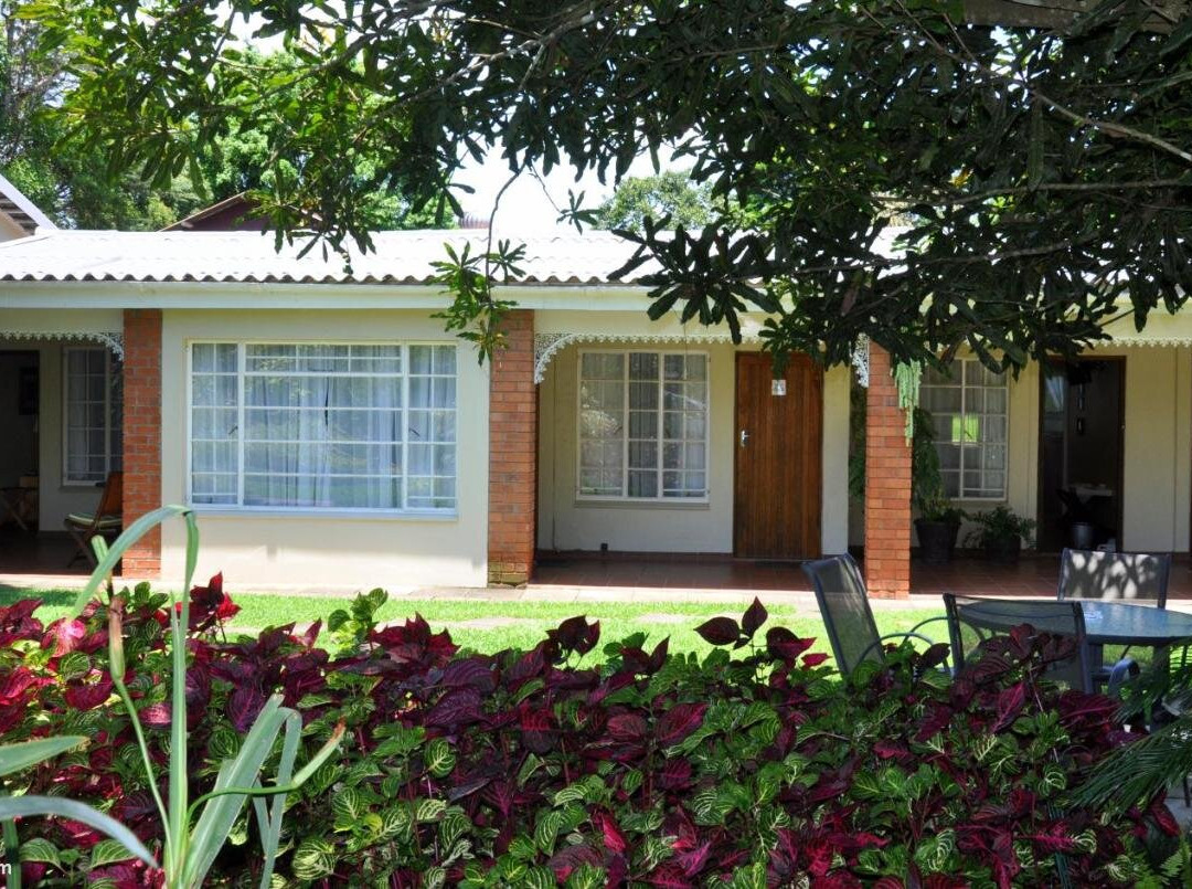 Birds of Paradise B&B主图