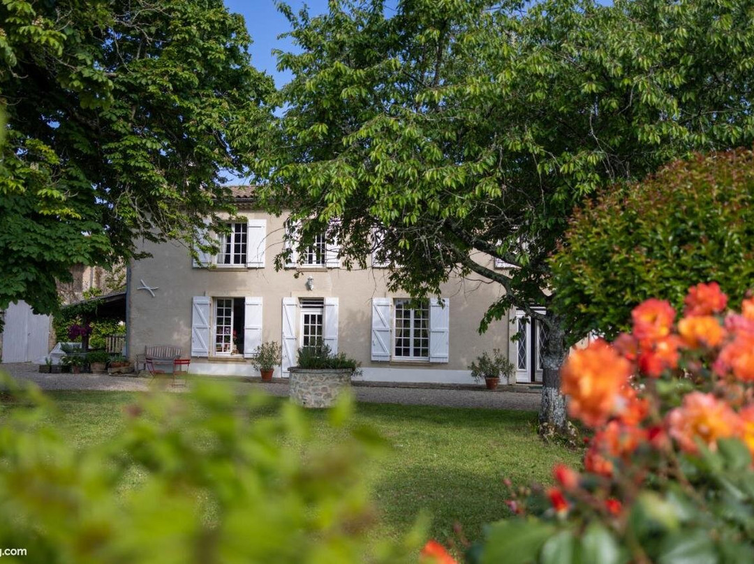 Le Jardin Dans Les Vignes主图