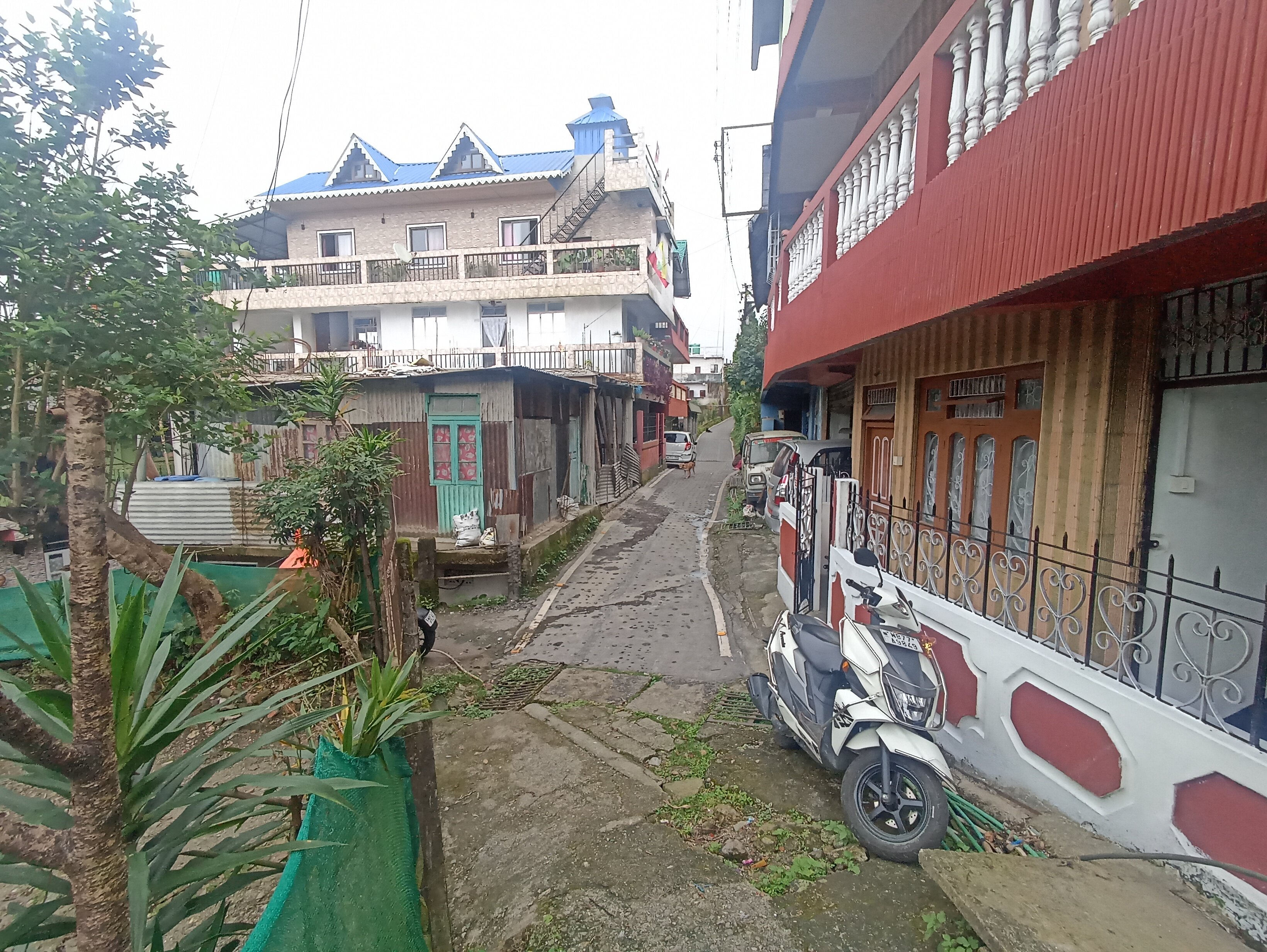 Family Homestay-浴室