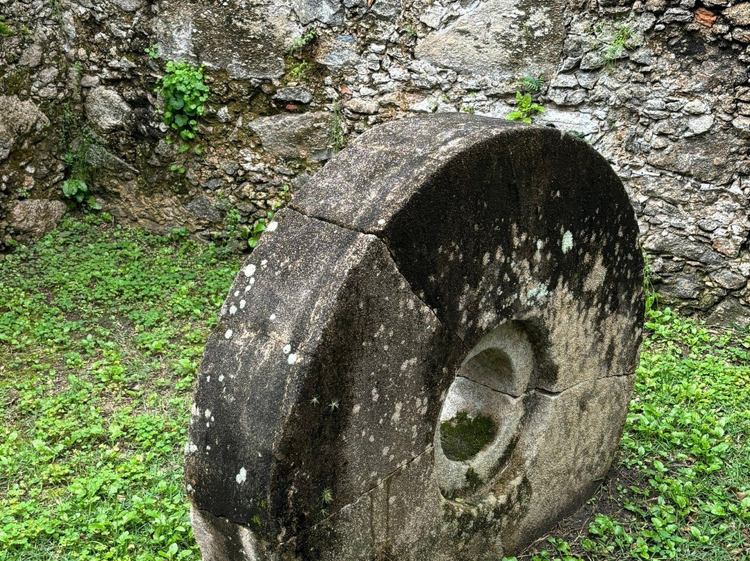 Museu Histórico e Arqueológico de Iguape景点图片
