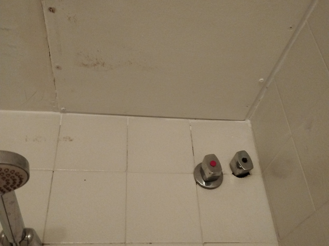 Hostal Isabel II主图