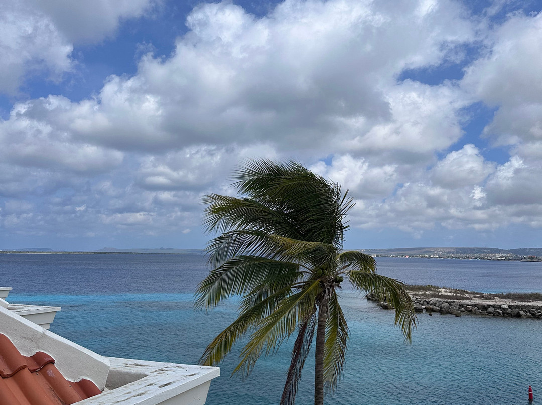 Port Bonaire Residencia主图