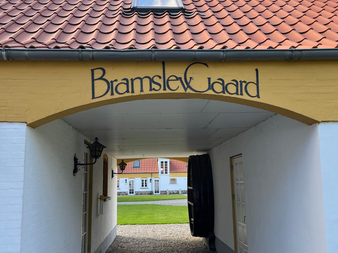 Hotel BramslevGaard主图