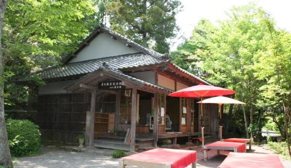 修善寺彩虹村-伊豆市必去景点