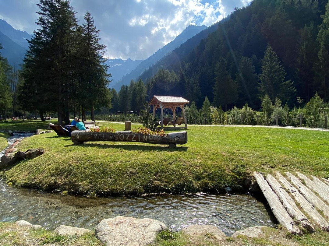 Sozzine Park景点图片