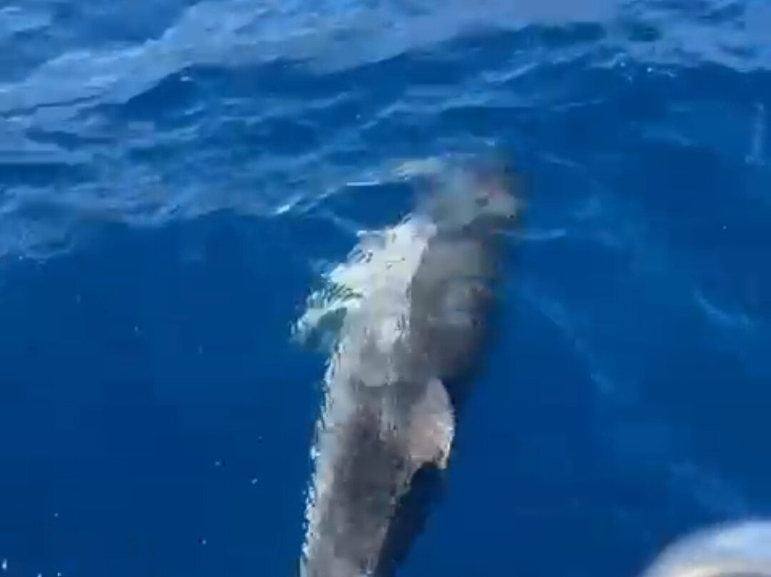 Sailover-卡利亚里省必去景点