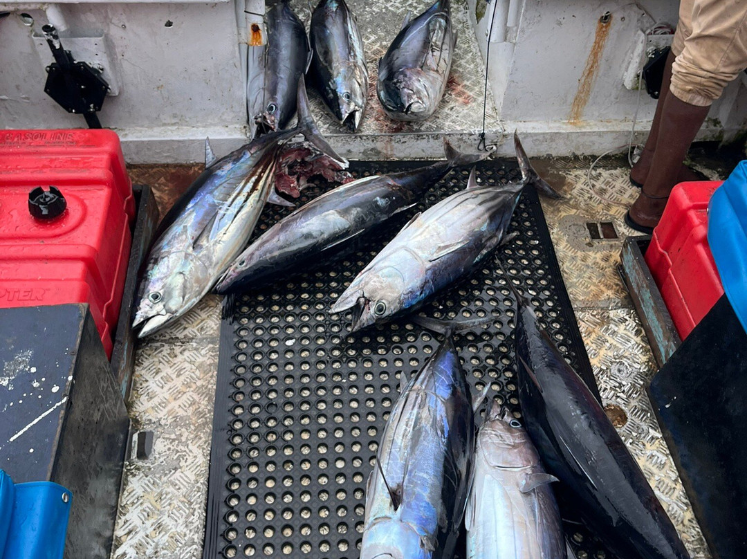 Sigatoka Fishing Charters景点图片
