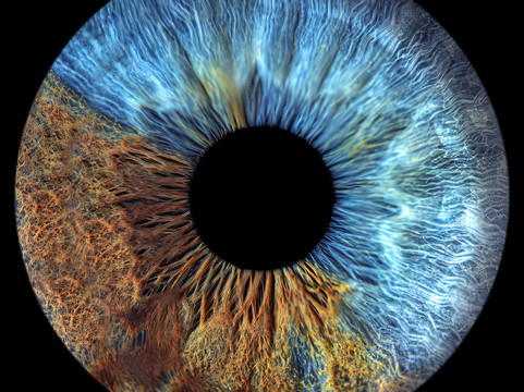 Amazojo Iris Photo Studio-彭萨科拉必去景点