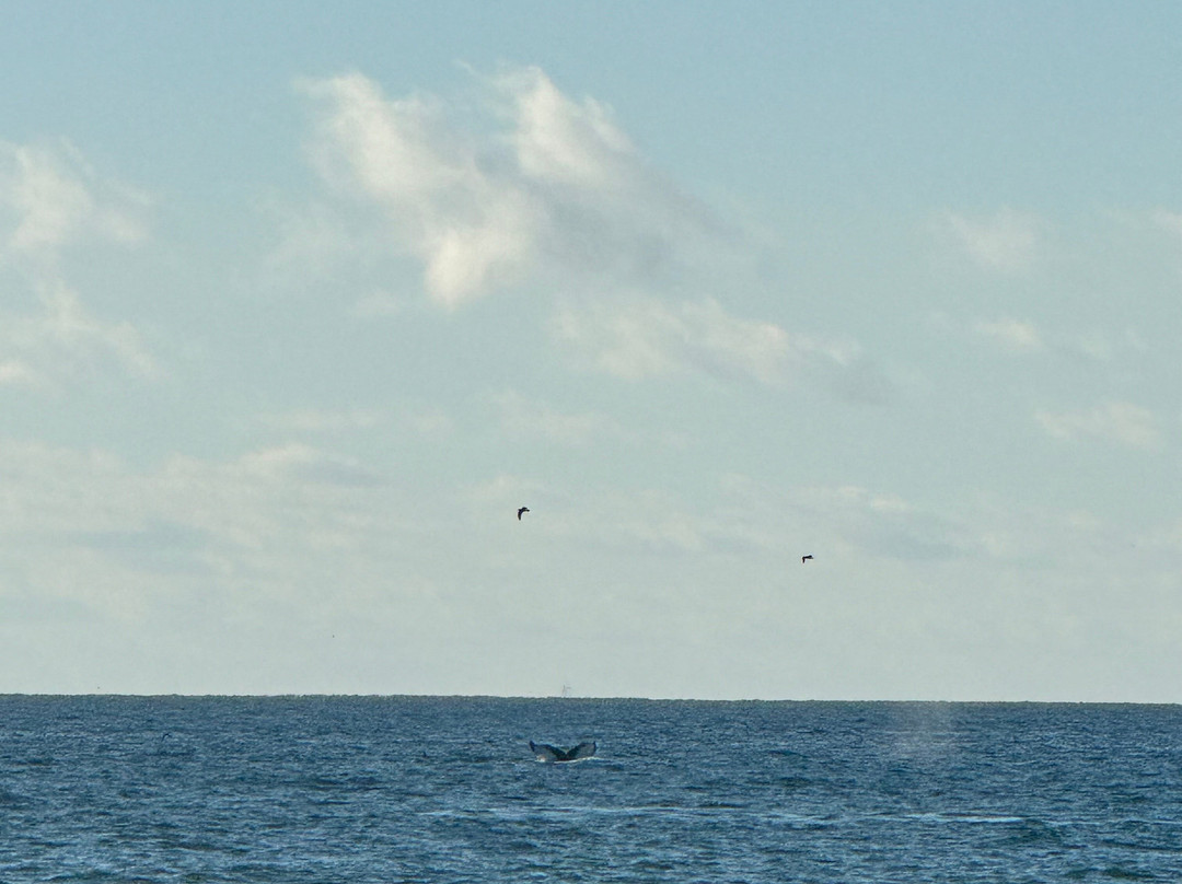 Hero Beach Club主图