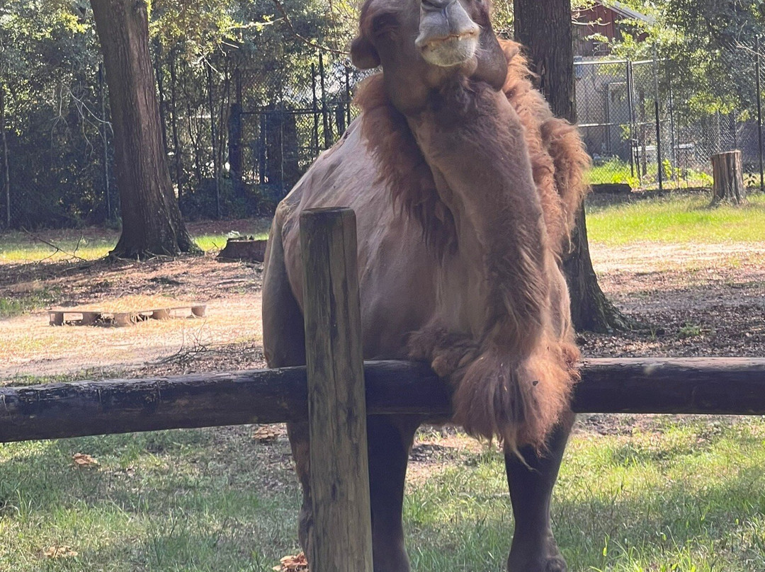 Chehaw Park & Zoo-奥尔巴尼必去景点