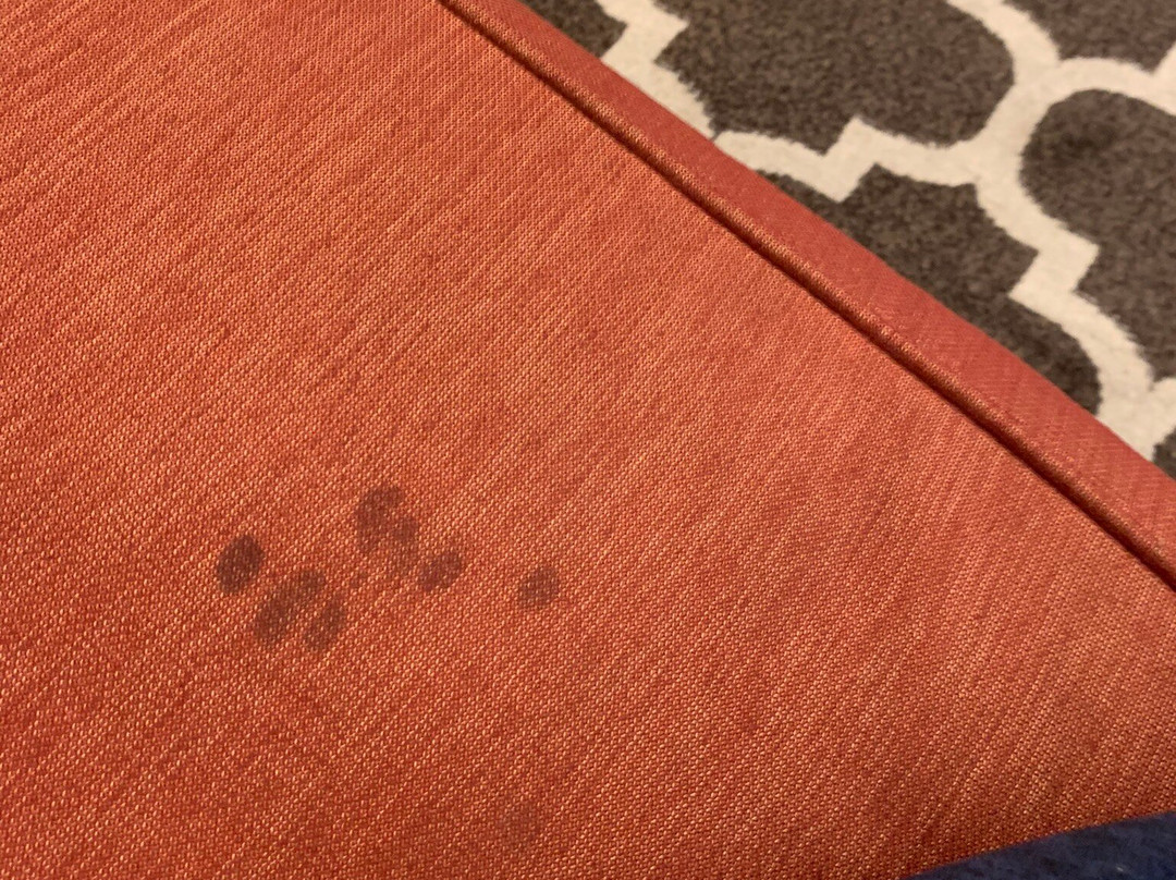 Best Western Plus The Charles Hotel主图