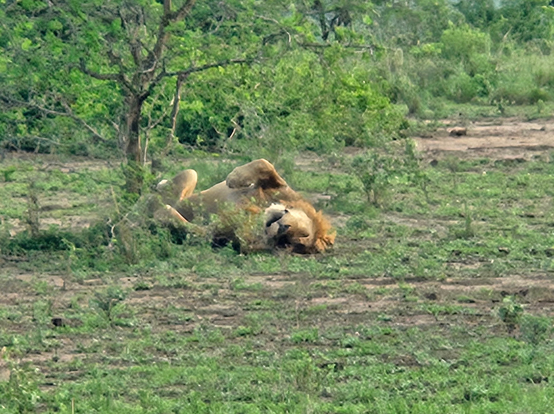 Kabaffulo Safaris-Katunguru必去景点
