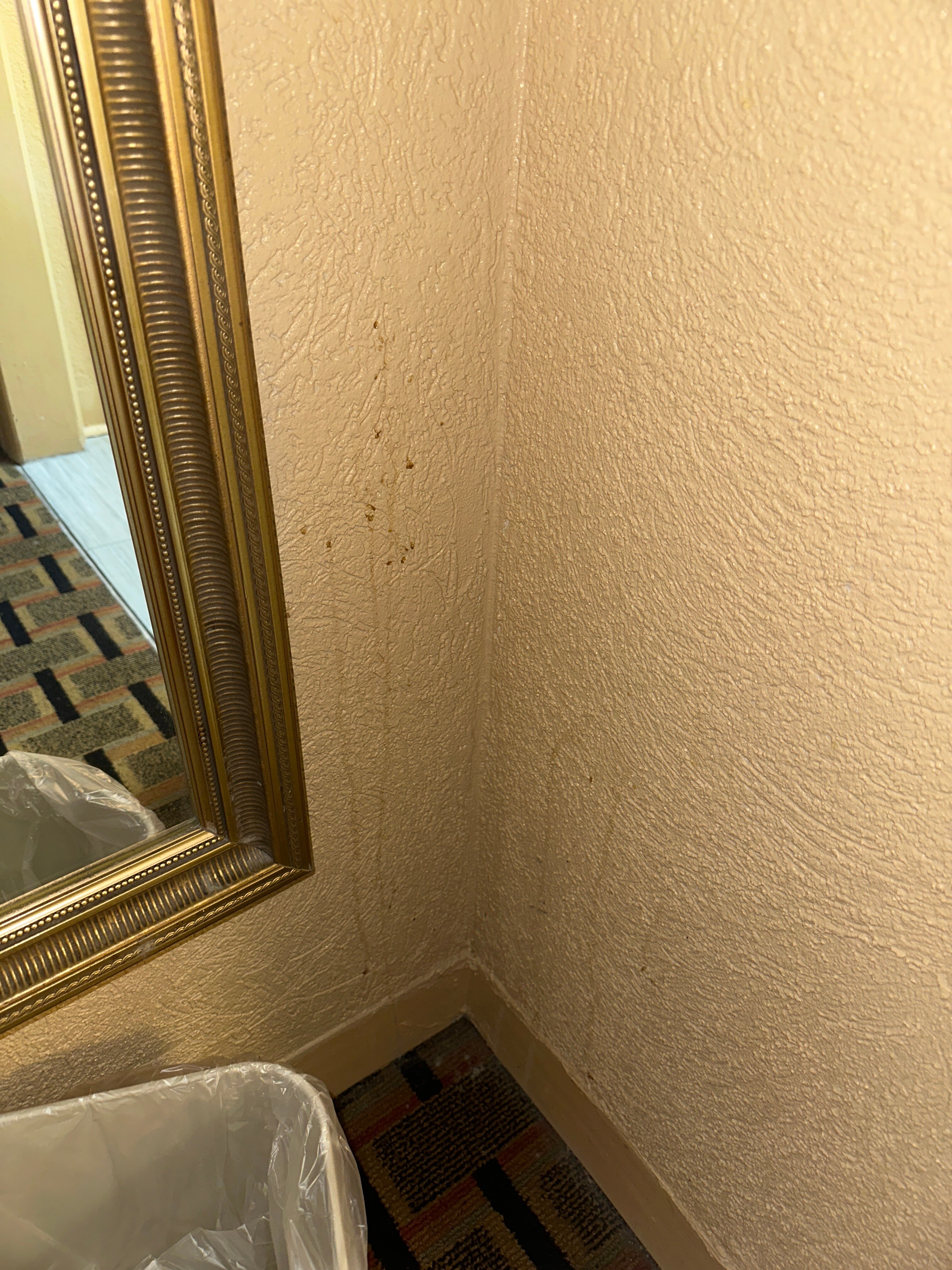 Days Inn by Wyndham Durham/Near Duke University-客卧