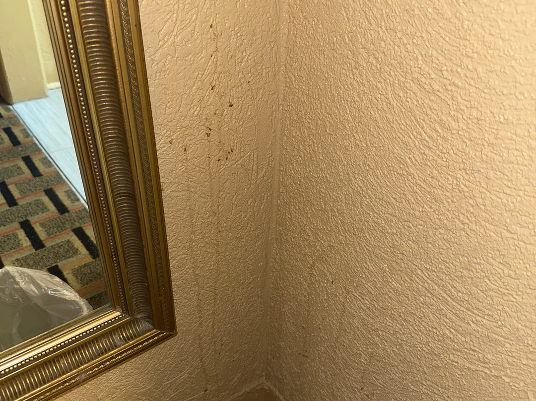 Days Inn by Wyndham Durham/Near Duke University主图