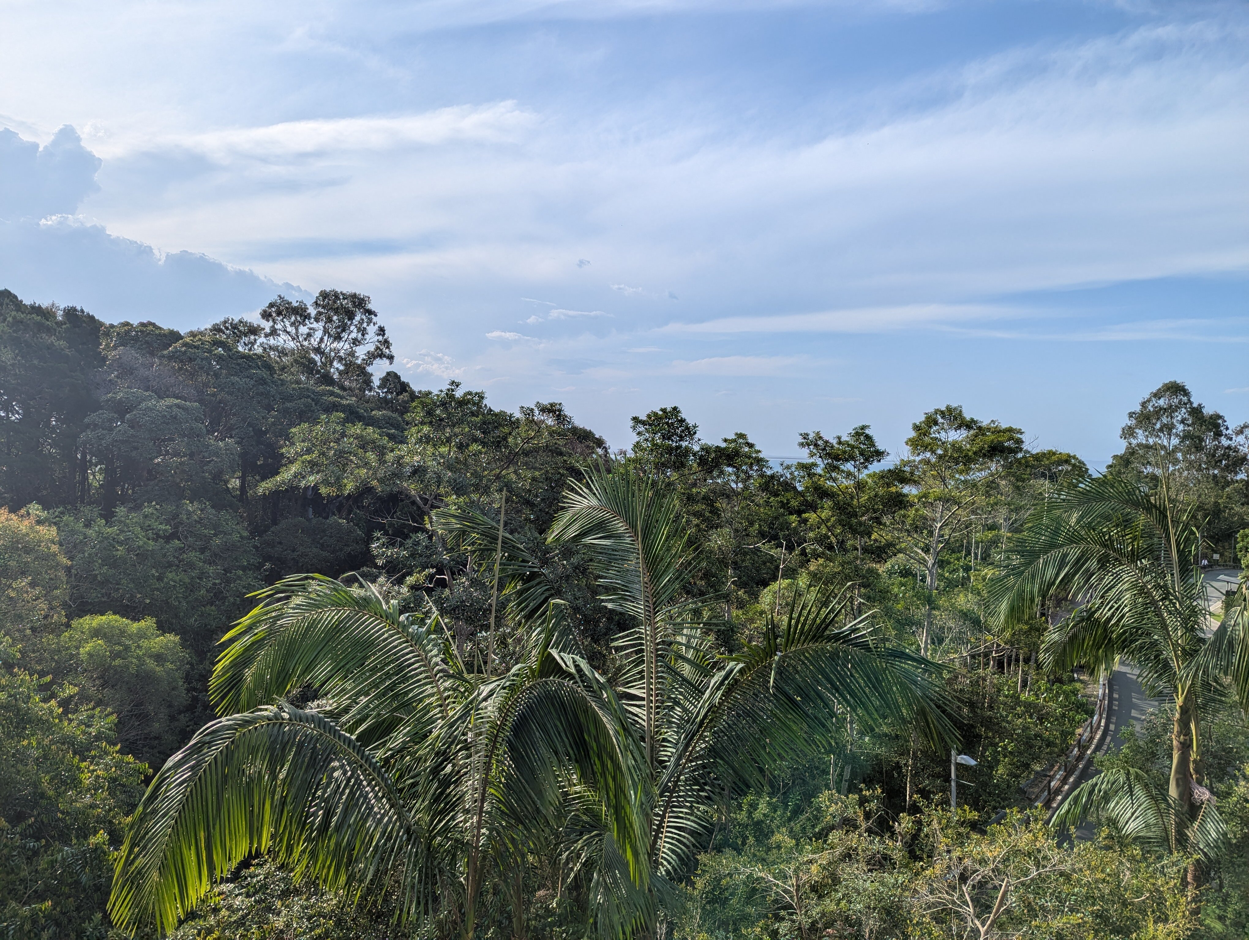 Peppers Noosa Resort and Villas-酒店景观