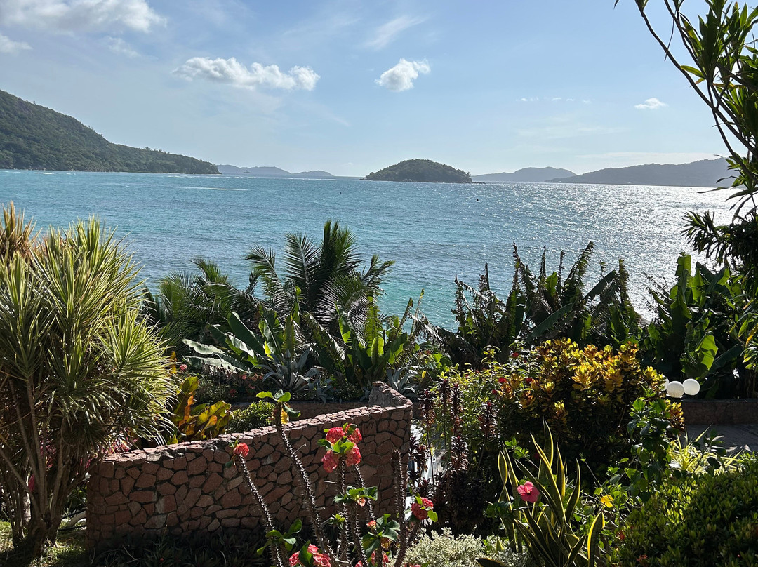 Colibri Guesthouse主图