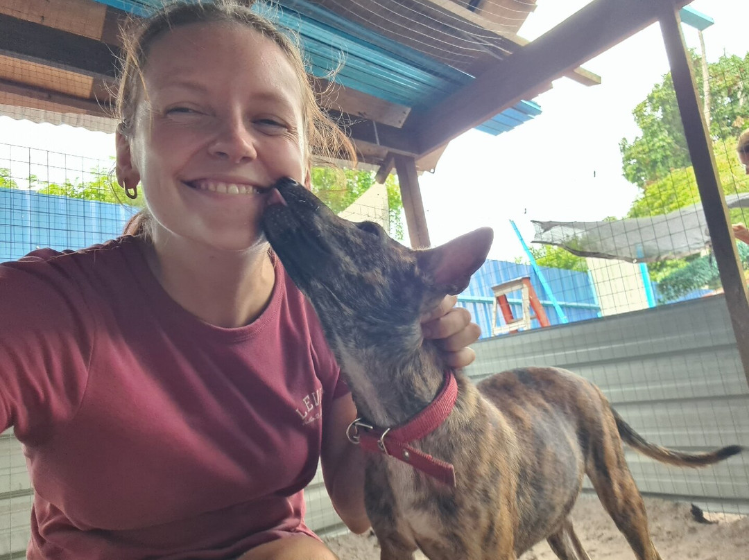 WOOFF Langkawi-瓜镇必去景点