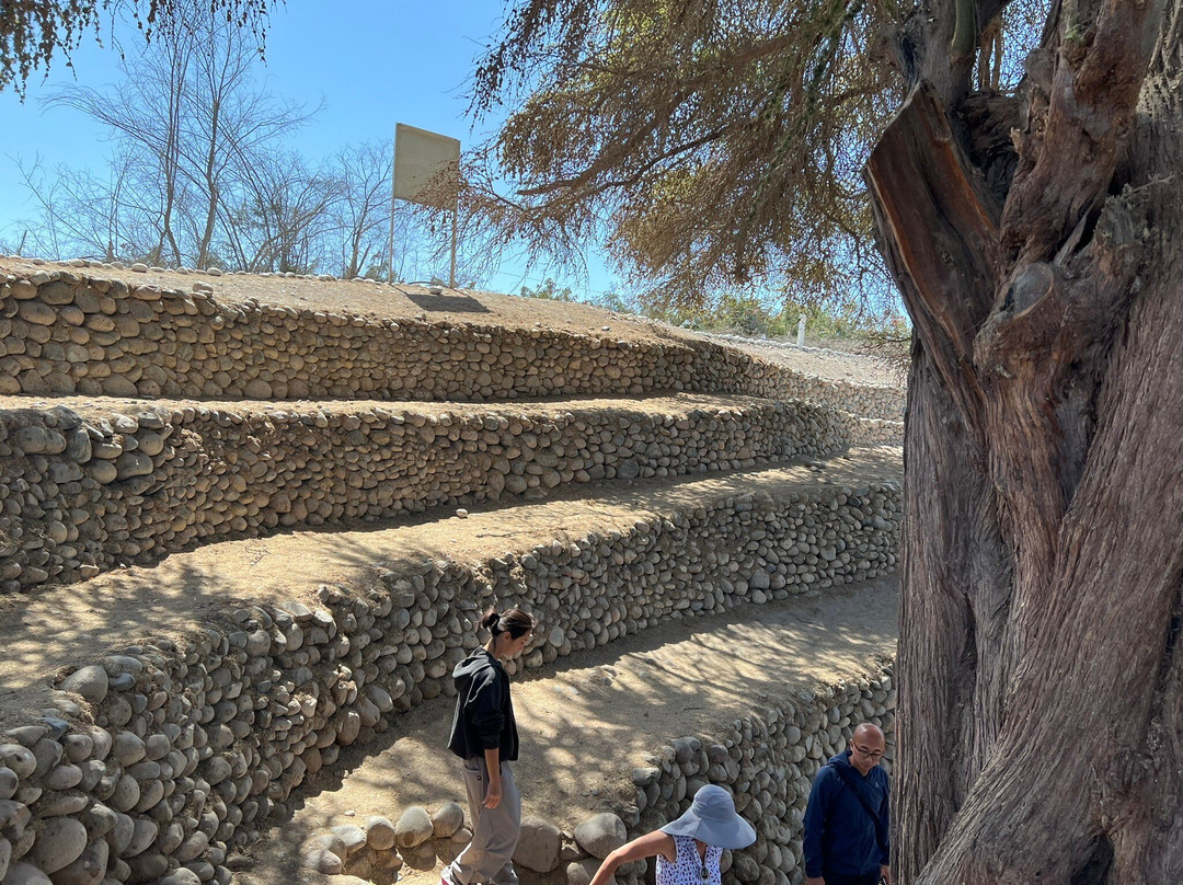 Torre Mirador de Las Lines de Nasca-纳斯卡必去景点