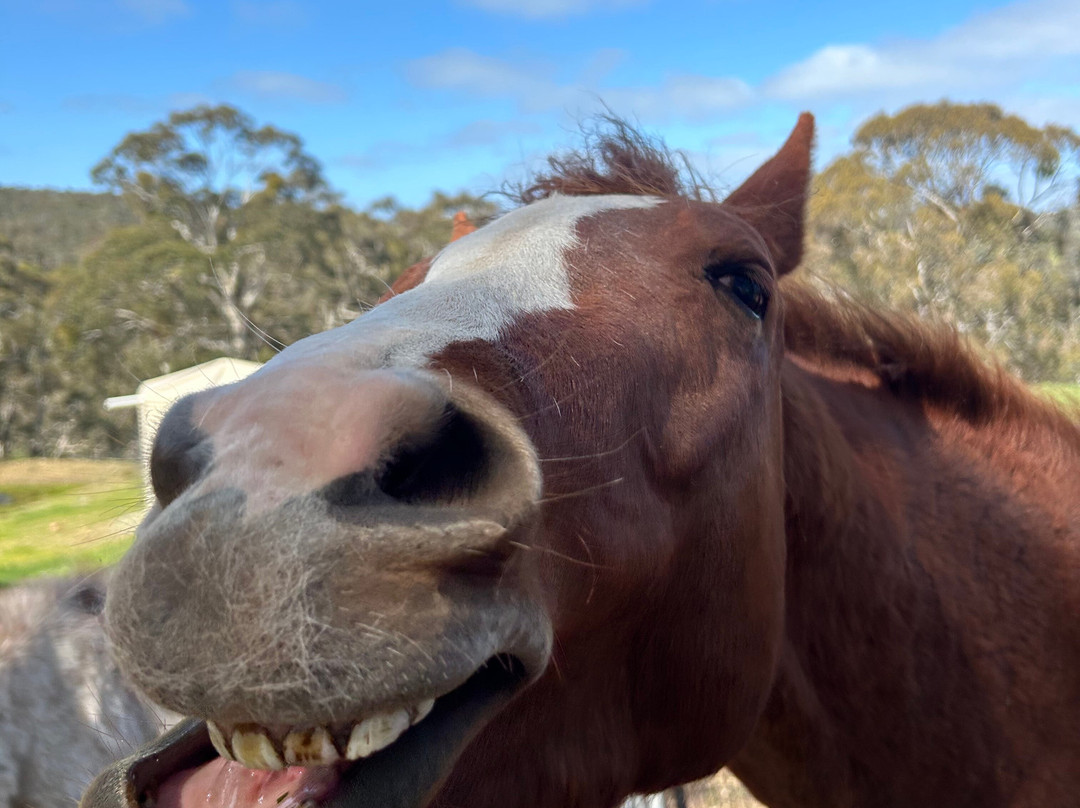 Seascape Retreat主图