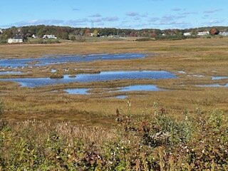 Riverside Memorial Cemetery-开普伊丽莎白必去景点
