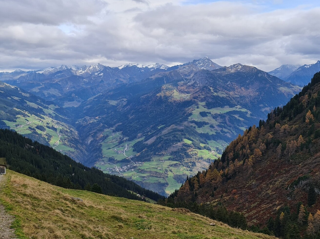 Zillertaler Höhenstraße景点图片