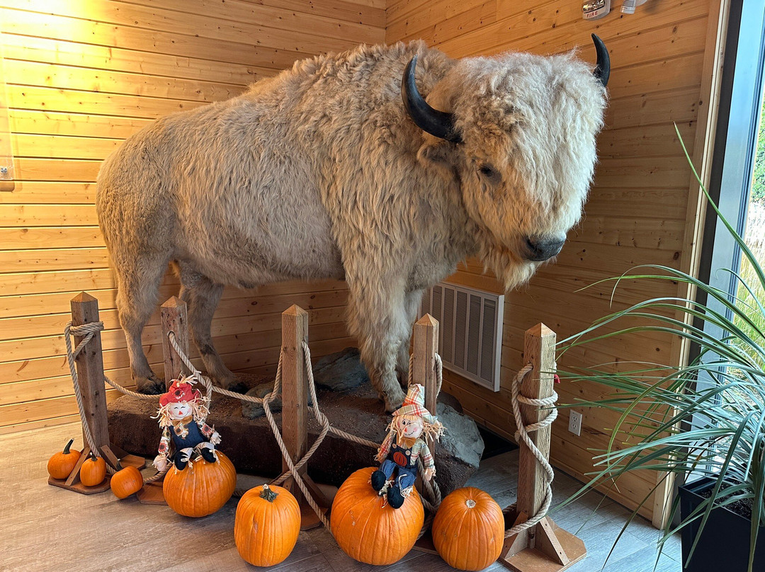 Métis Crossing-烟湖必去景点