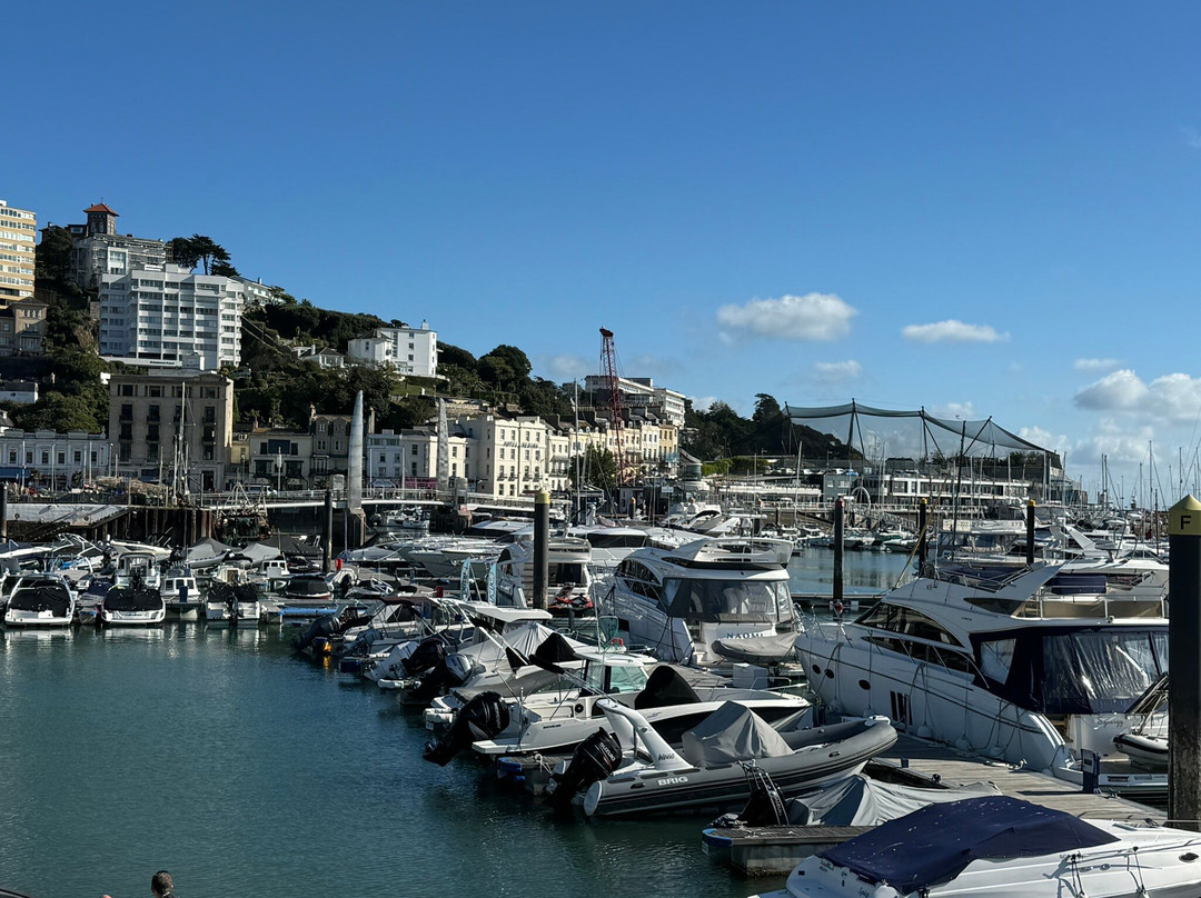 Torquay Harbour (Inner Dock)-托基必去景点