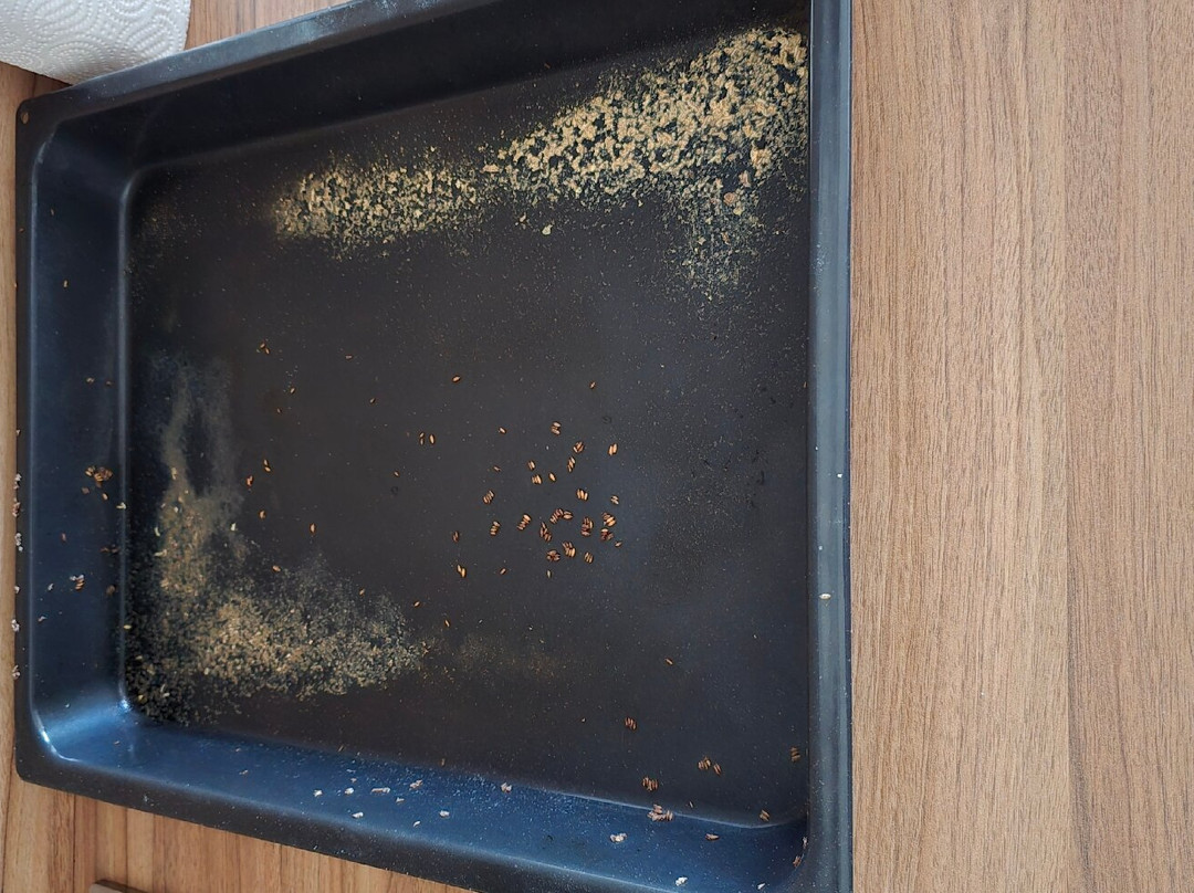 Chill and Go Aparthotel主图