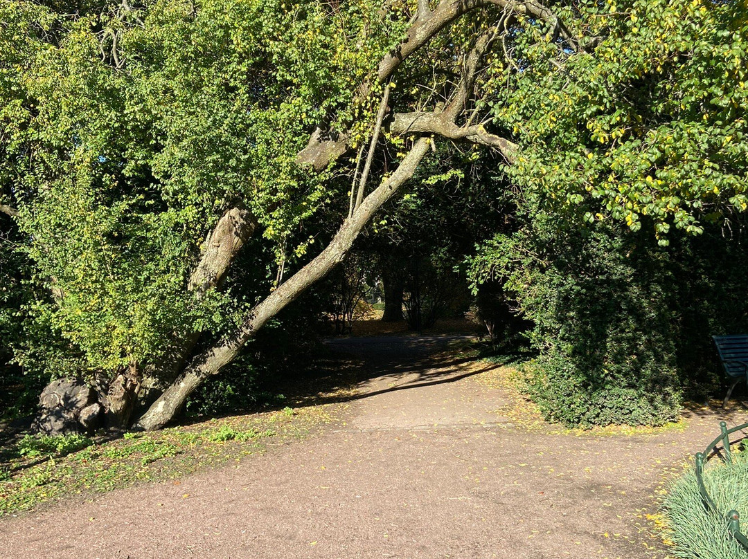 Slottstradgarden-马尔默必去景点
