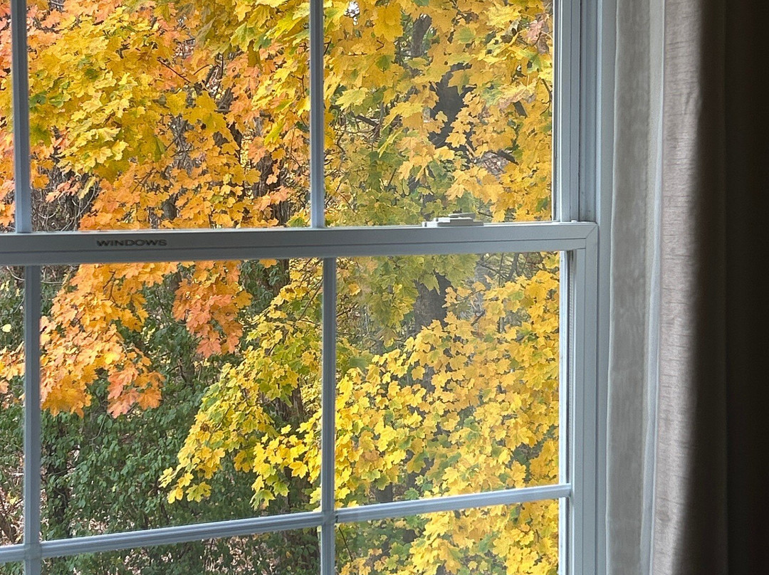 Comfort Inn & Suites Sturbridge - Brimfield主图