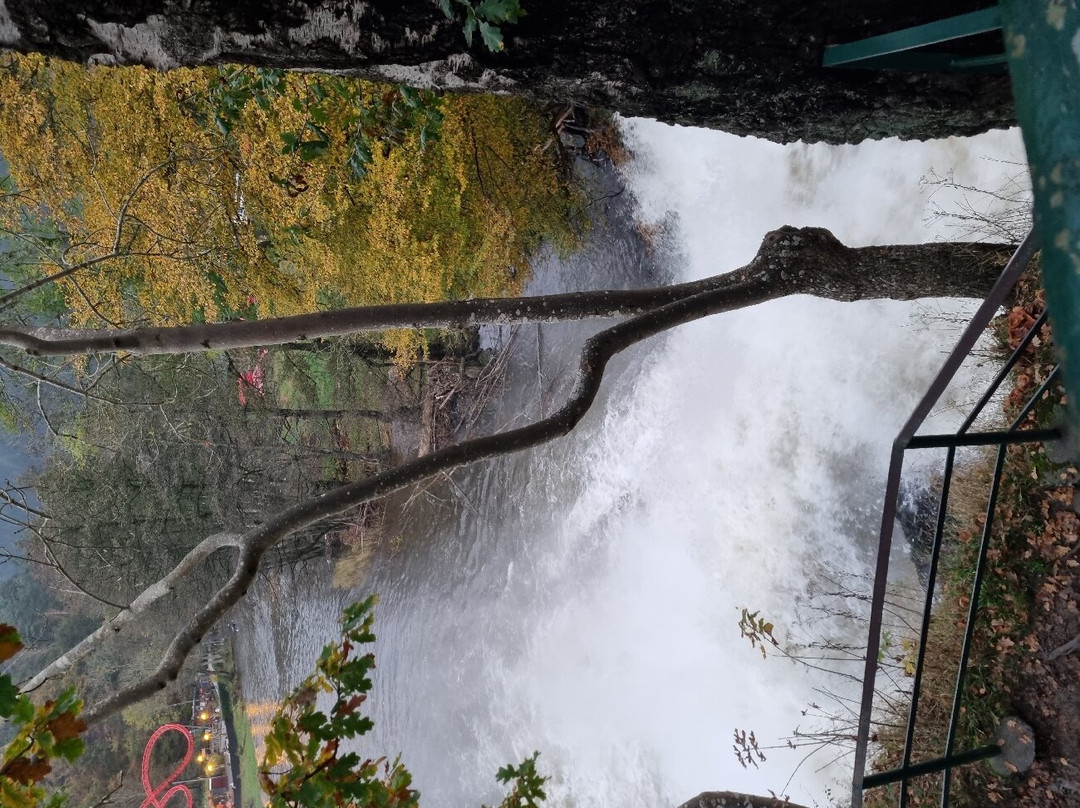 Les Cascades de Coo景点图片