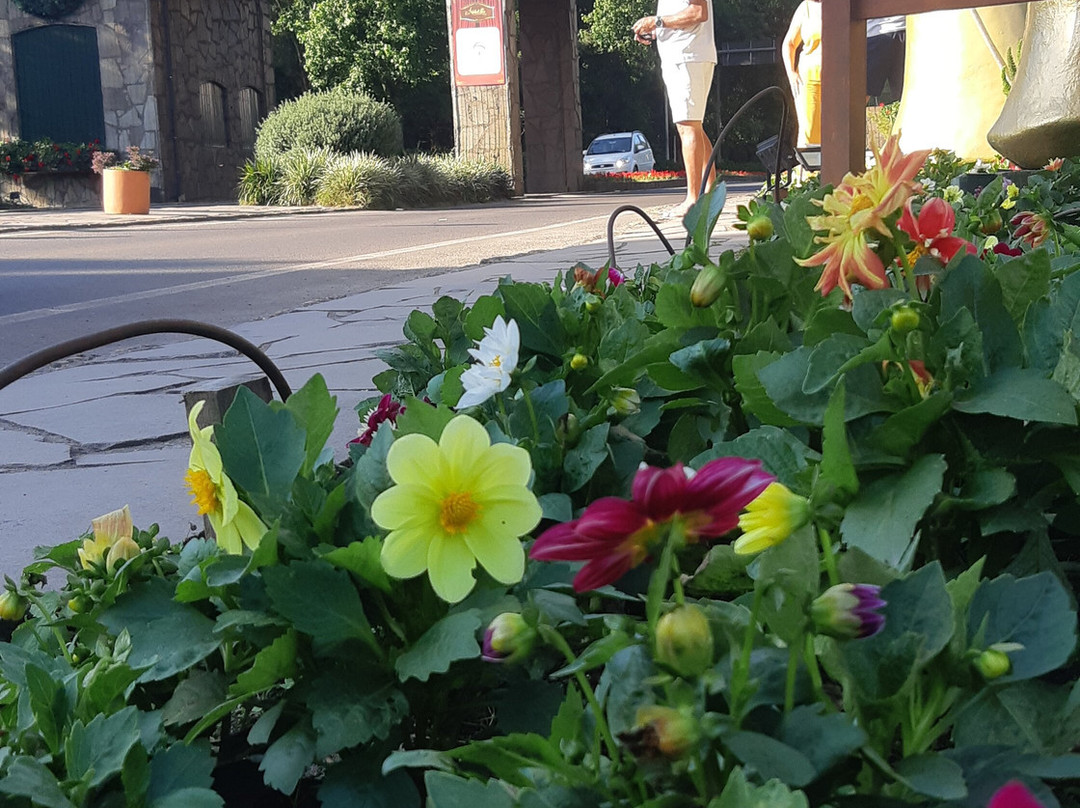 Portico via Nova Petropolis-格拉玛多必去景点