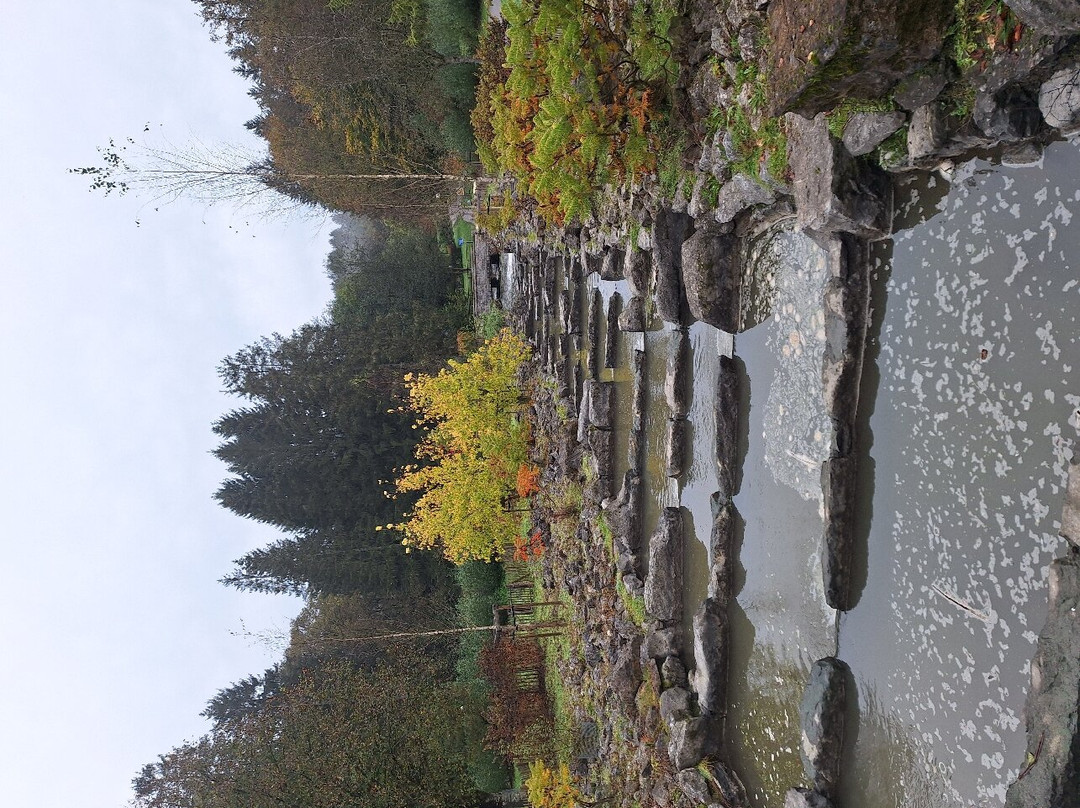 Domaine Provincial de Chevetogne-Chevetogne必去景点