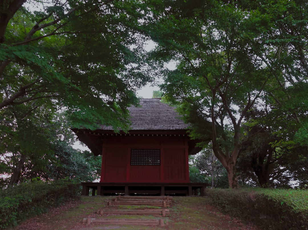 Sakasaijoato Park-阪东市必去景点