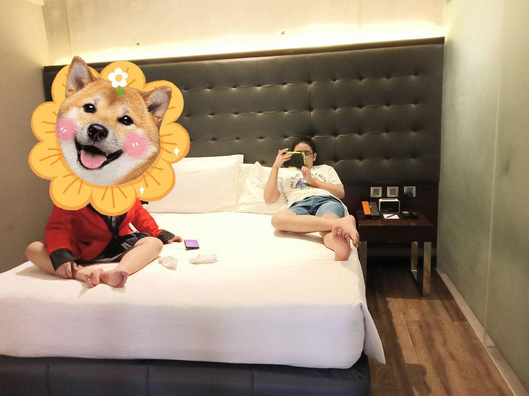 奎松市B酒店主图