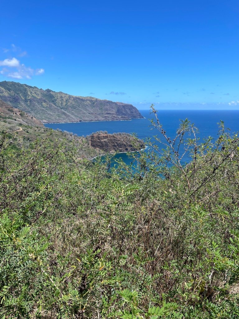 Pension Kanahau-官方