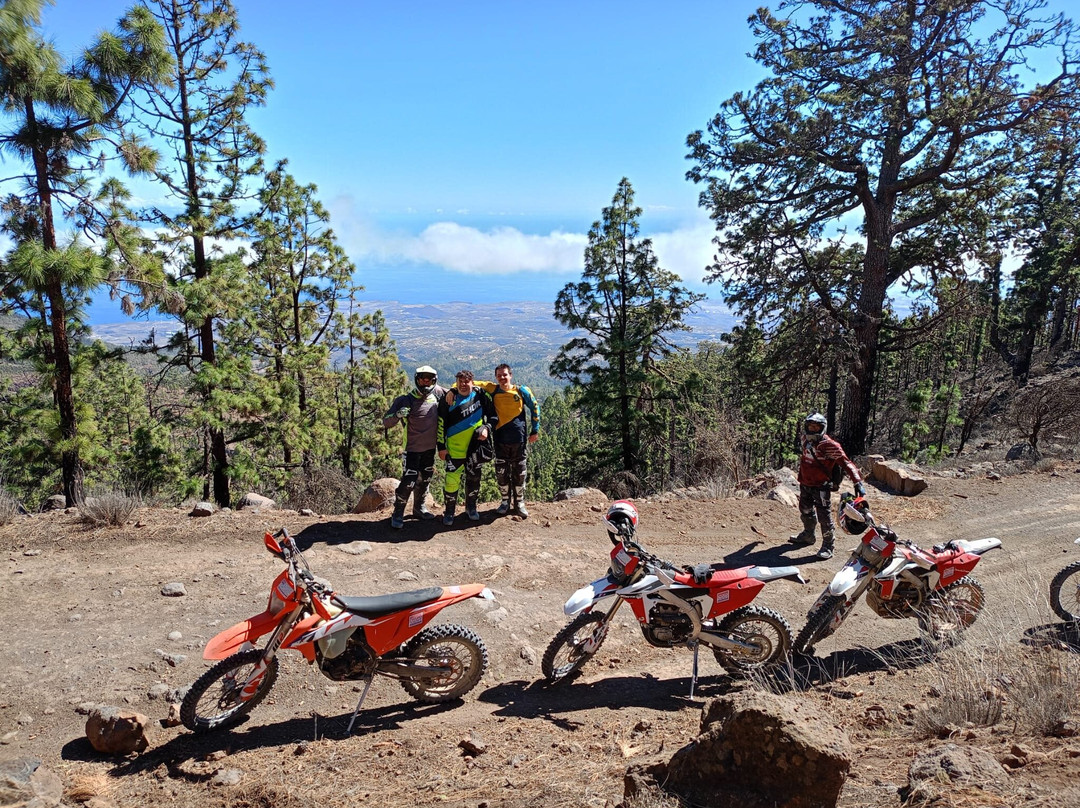 Enduro Tenerife S.l.-圣米格尔德亚沃纳必去景点