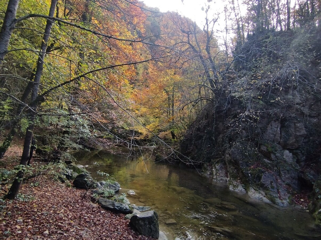 Santuario De Bellmunt主图